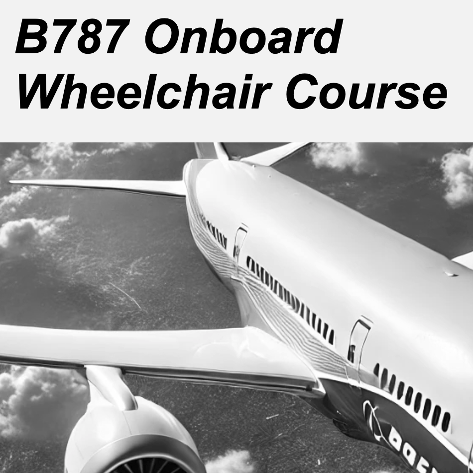 Wheelchair Usage During Flight Project Thumbnail